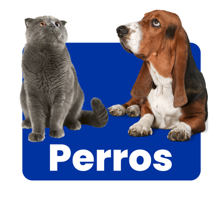 Perros